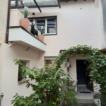 Apartment Bad Nauheim Central